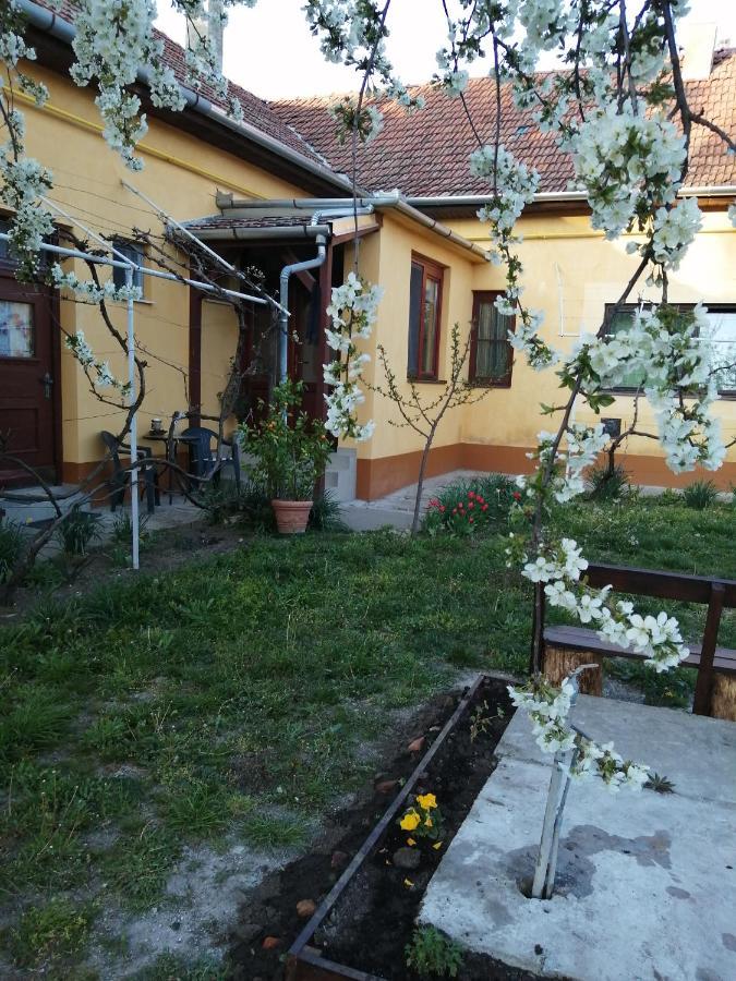Harsfak Βίλα Mezokovacshaza Εξωτερικό φωτογραφία